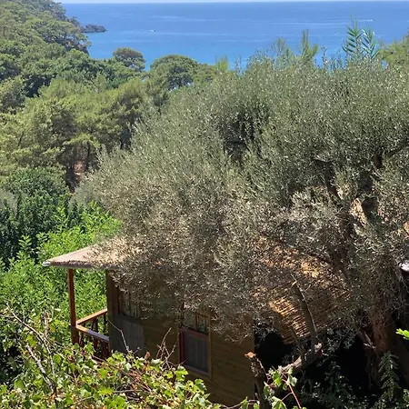 Turan Hill Lounge Üdülőpark