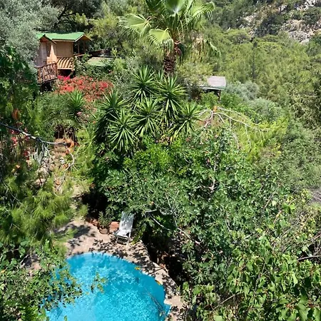 Üdülőpark Turan Hill Lounge